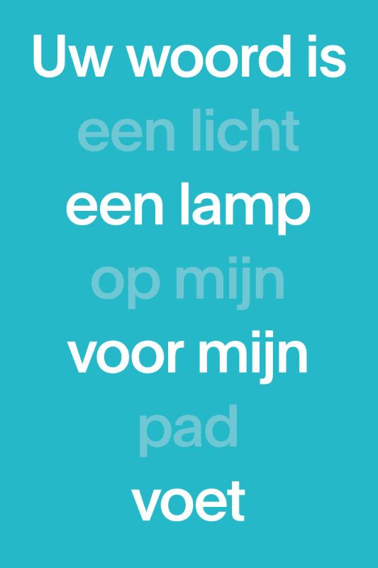 Productafbeelding: voorkant van NBV1 Paperback (blauw)