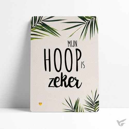 Productafbeelding: voorkant van Mijn hoop is zeker