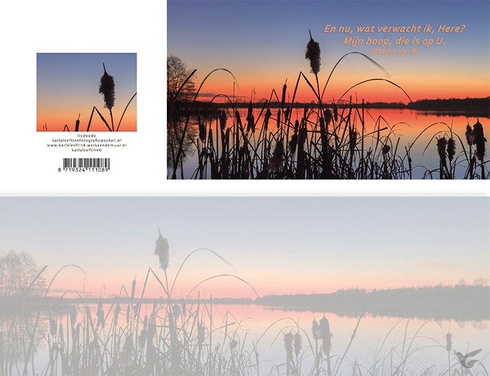 Productafbeelding: voorkant van Panoramawenskaart mt lisdodde