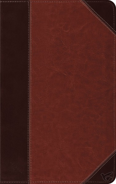 Productafbeelding: voorkant van ESV - Thinline Bible