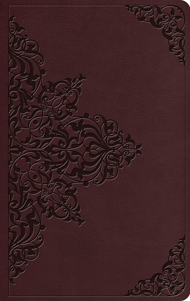 Productafbeelding: voorkant van ESV - Value Thinline Bible