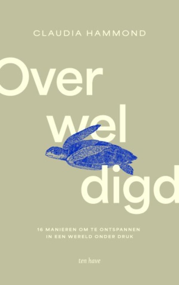 Productafbeelding: voorkant van Overweldigd