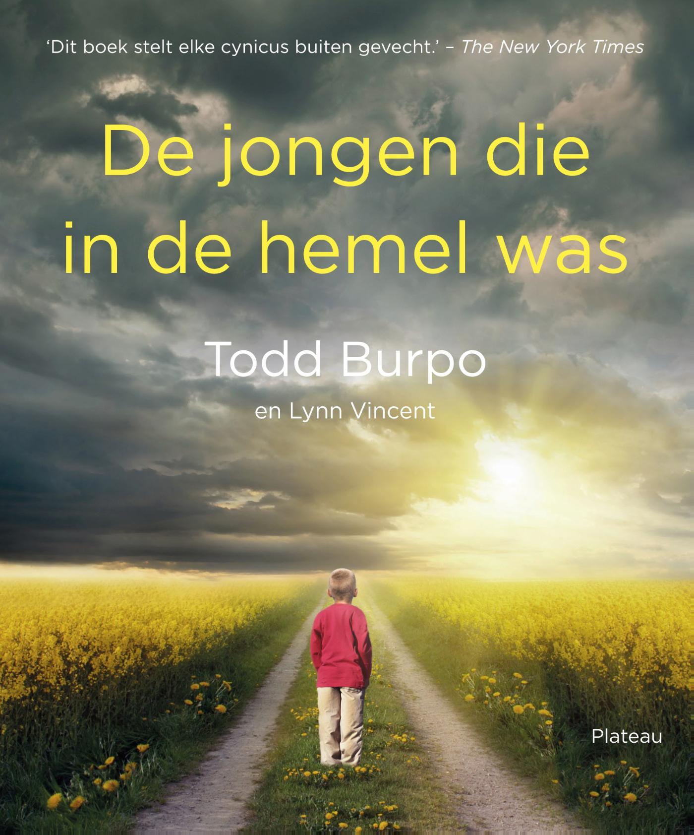 Productafbeelding: voorkant van De jongen die in de hemel was