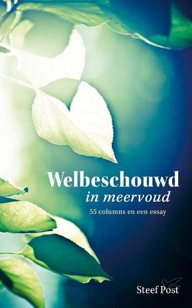 Productafbeelding: voorkant van Welbeschouwd in meervoud