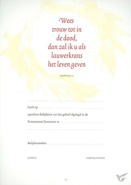 Productafbeelding: voorkant van Belijdeniskaart 302 set 10