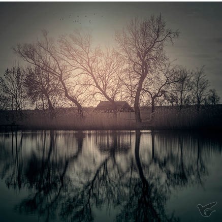 Productafbeelding: voorkant van Kaart huis riet blanco