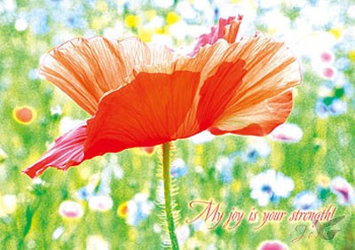 Productafbeelding: voorkant van Poster a4 My joy is your strength