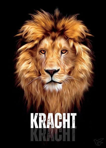 Productafbeelding: voorkant van Johannes evangelie kracht