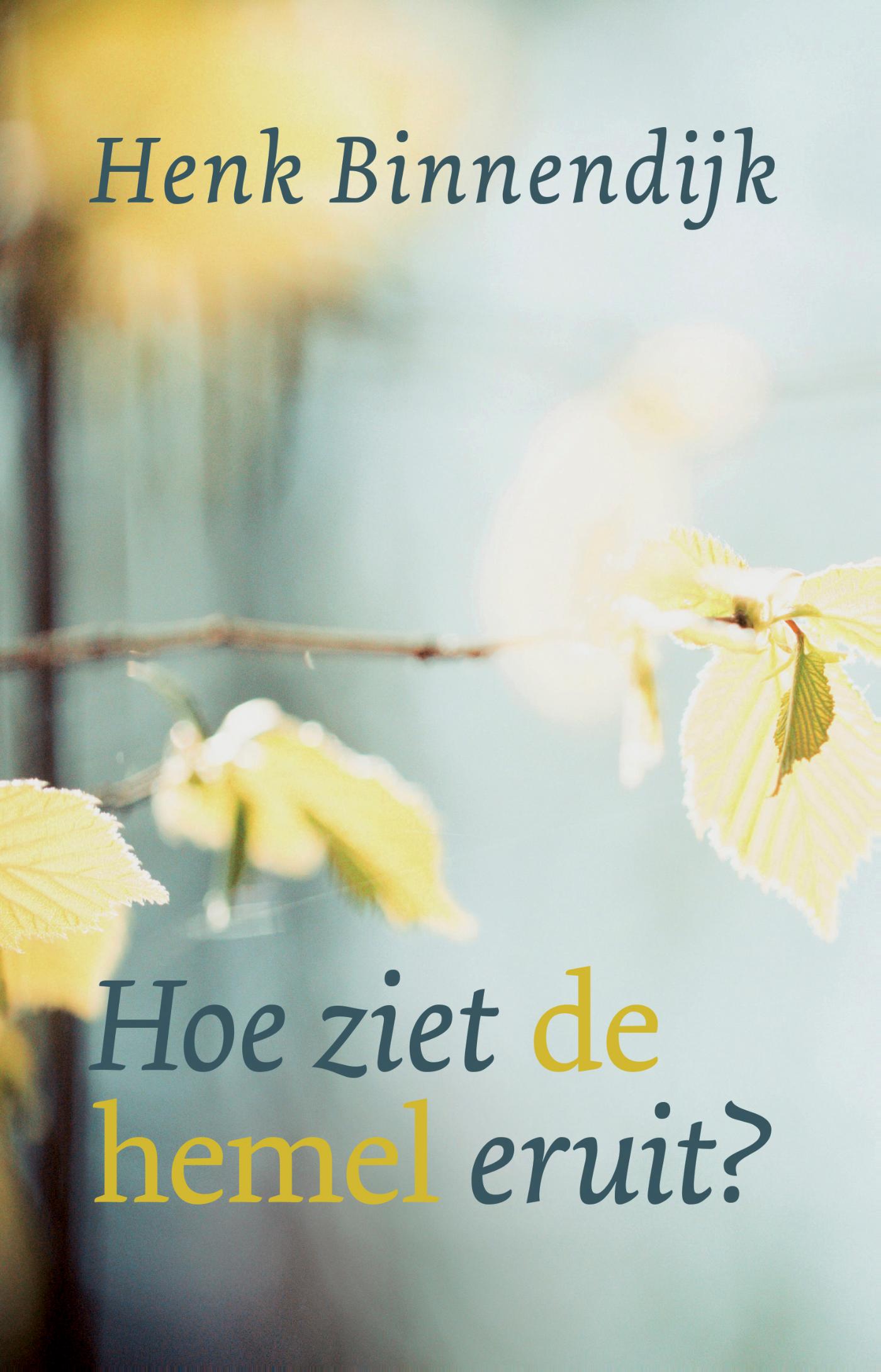 Productafbeelding: voorkant van Hoe ziet de hemel eruit?