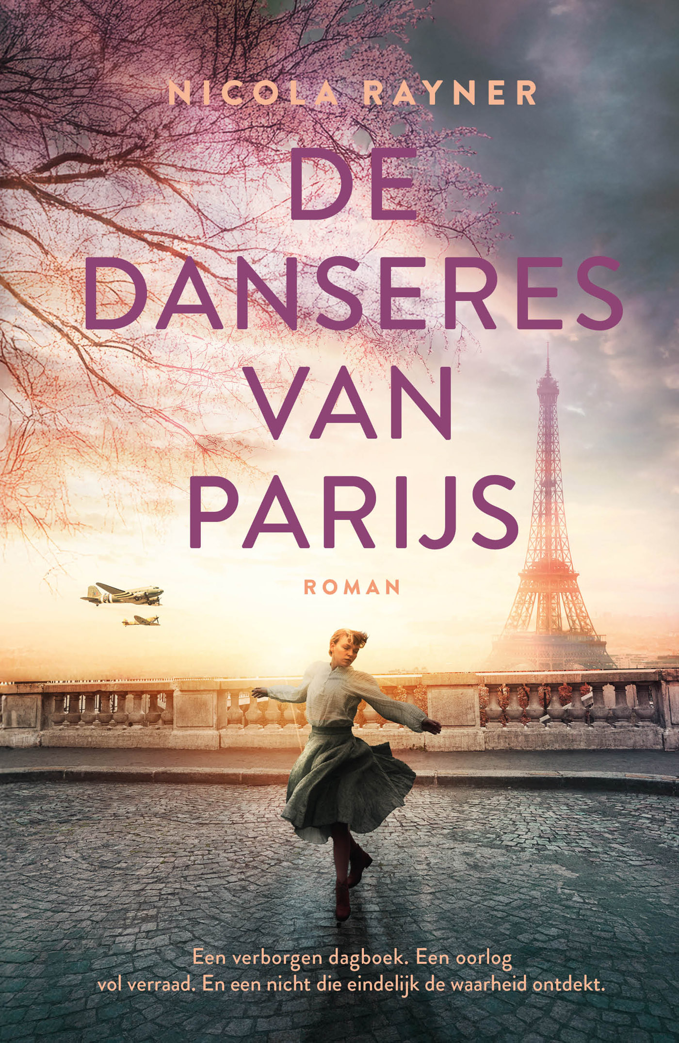Productafbeelding: voorkant van De danseres van Parijs