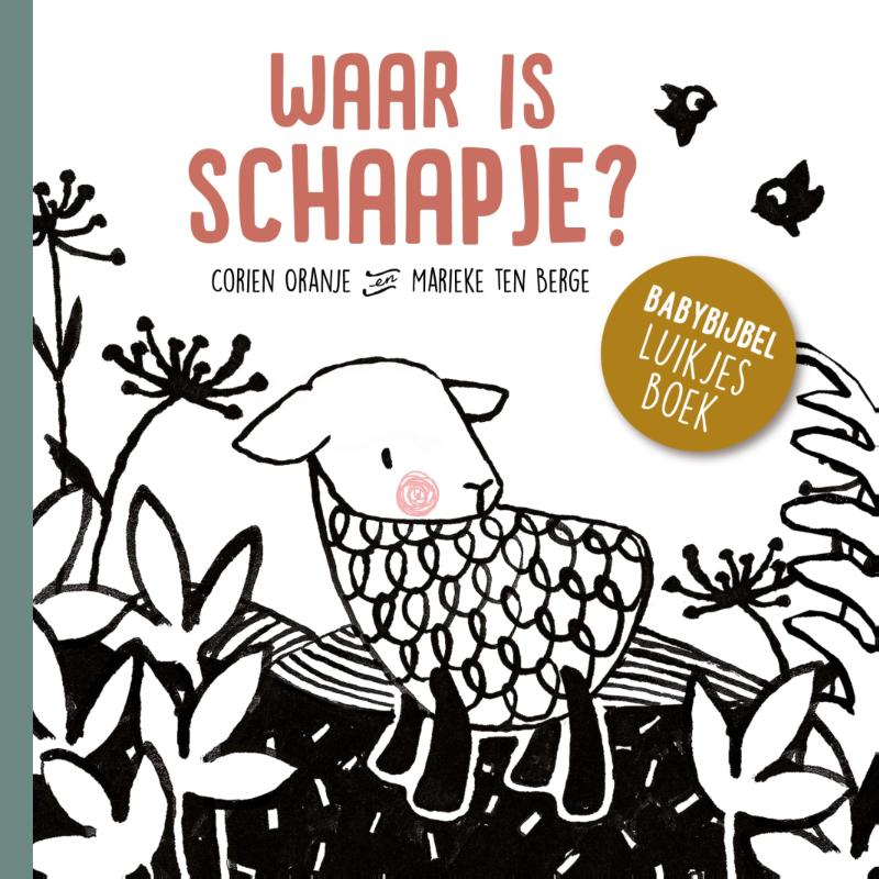 Productafbeelding: voorkant van Waar is schaapje?