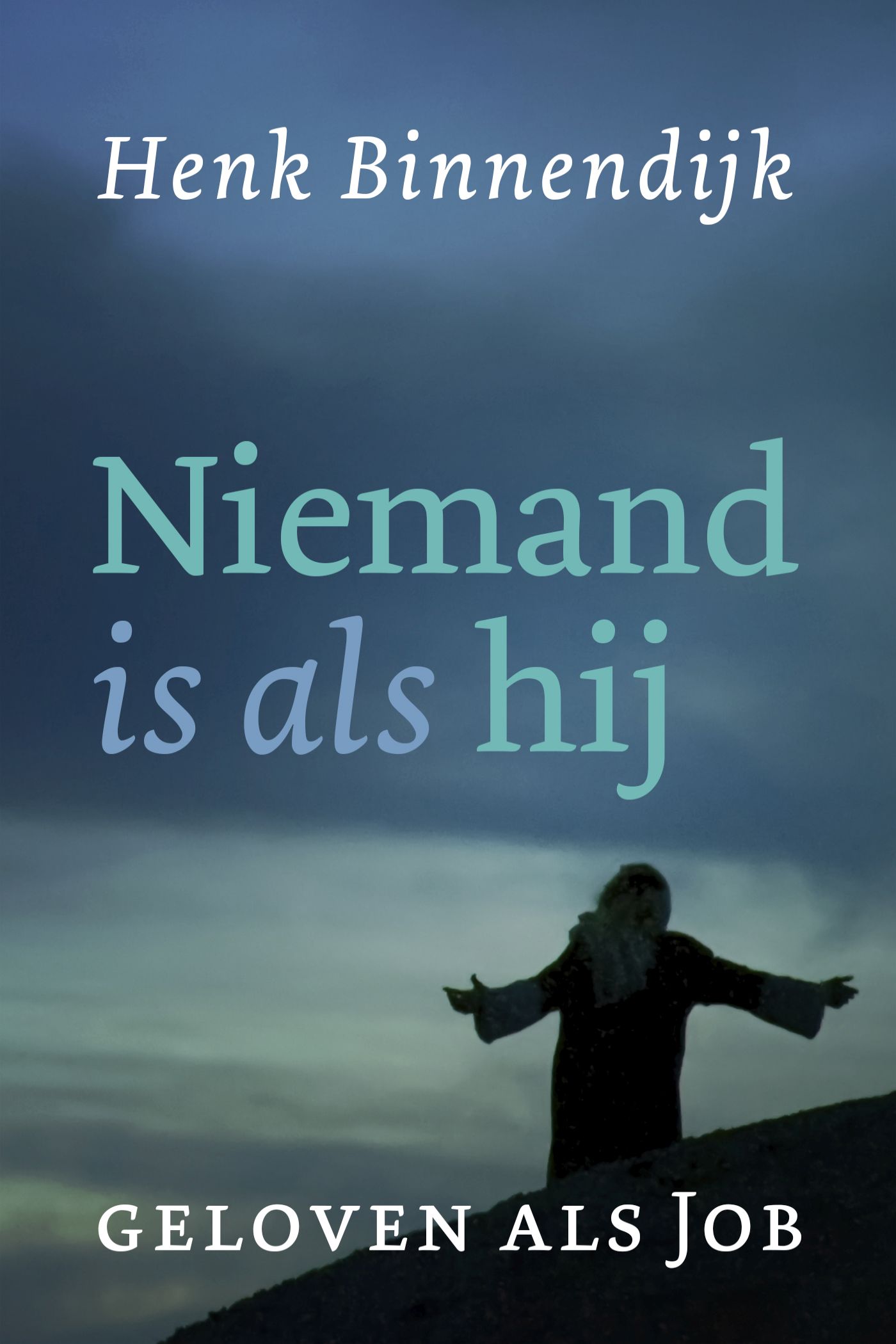 Productafbeelding: voorkant van Niemand is als hij