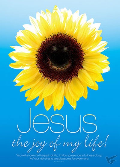 Productafbeelding: voorkant van Poster b2 Jesus the joy of my life